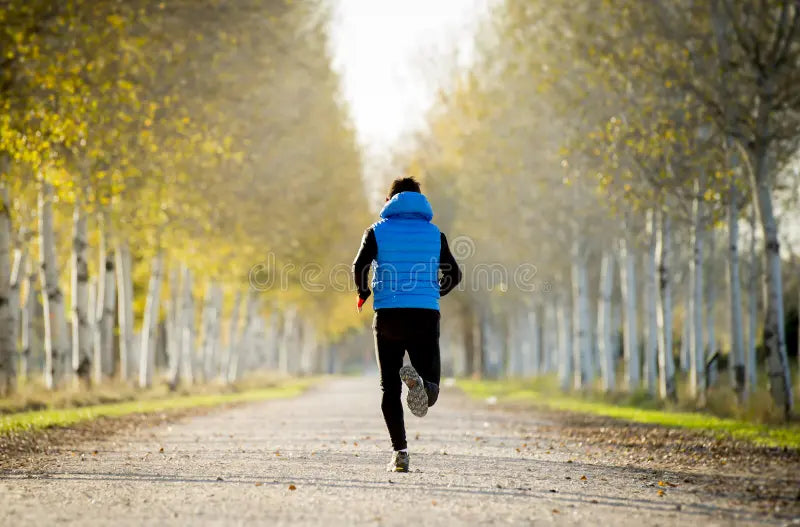 Active Wellness